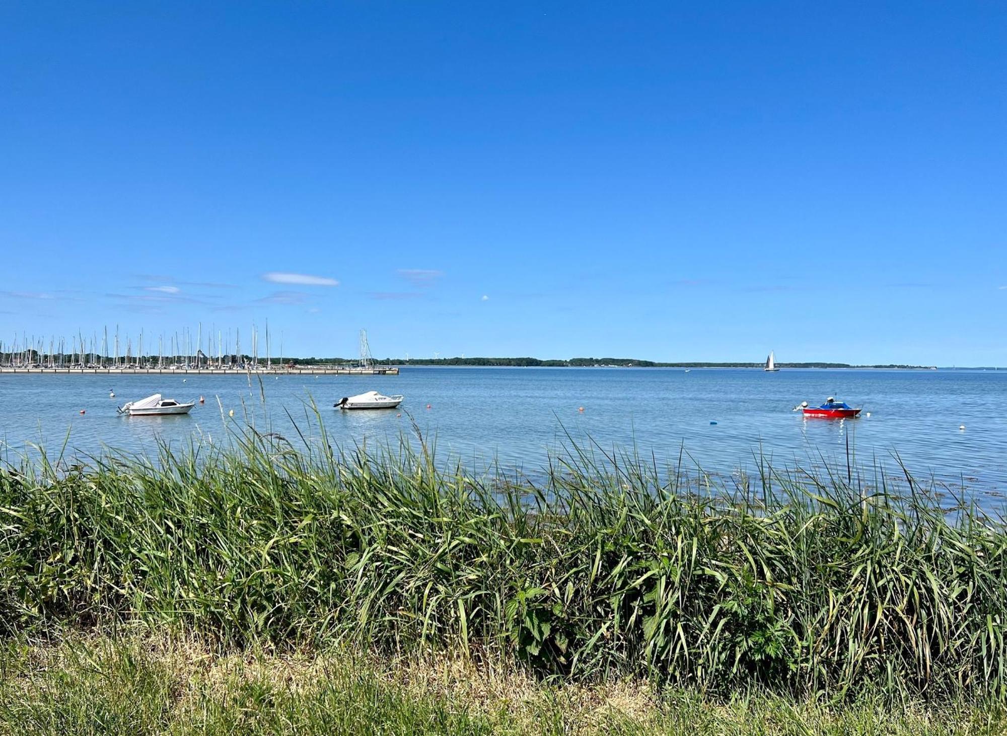 Urlaub Mit Ostseeblick, Schwimmbad, Sauna & Direkte Strandlage Kronsgaard Екстериор снимка